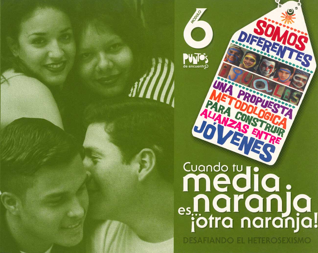 Cuando tu media naranja es... ¡otra naranja! : desafiando el