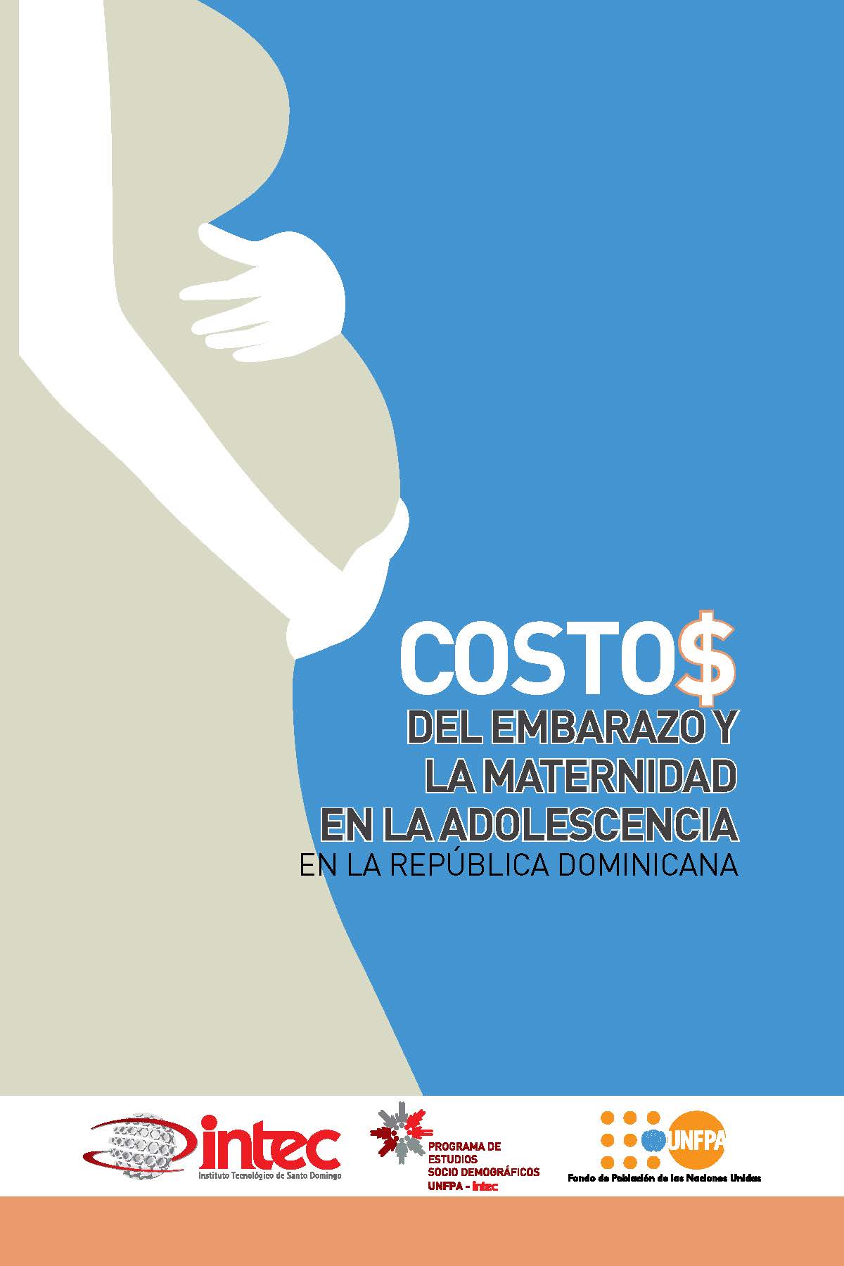 Costos Del Embarazo Y La Maternidad En La Adolescencia En La República ...