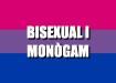 Bisexual i monògam